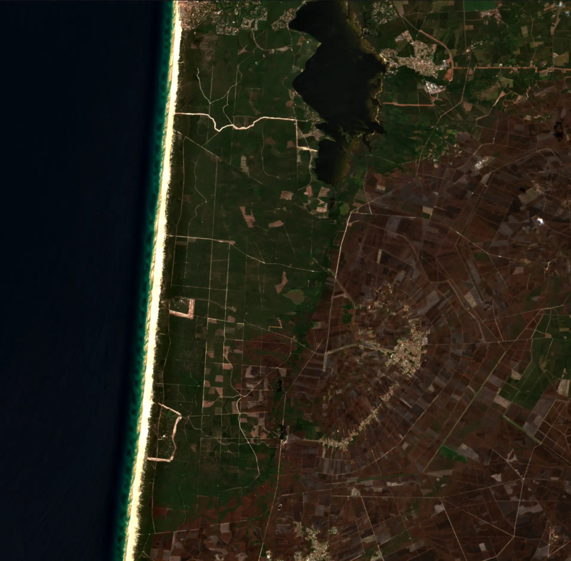 Bordeaux 2026: nach einem Waldbrand